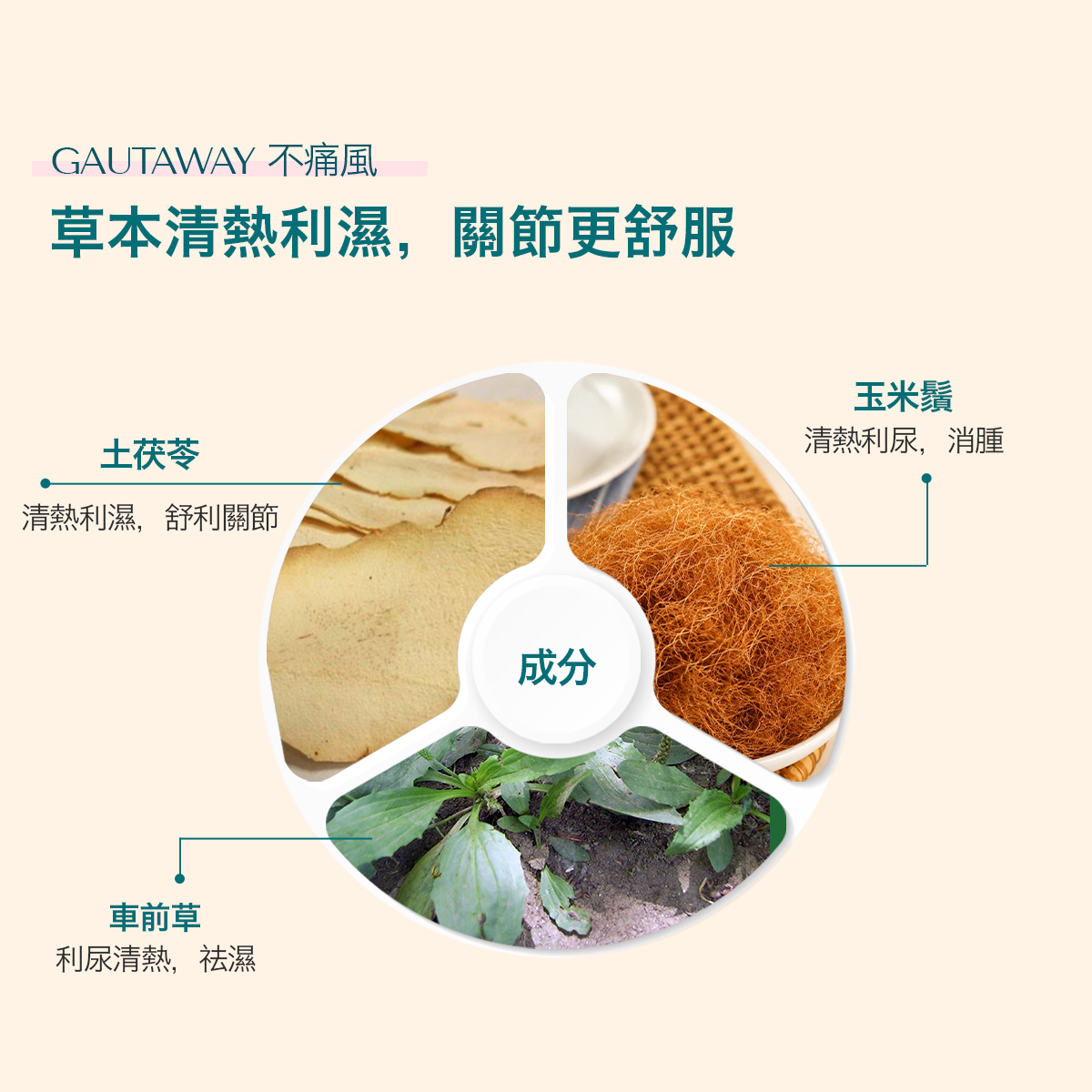 舒關樂 草本成分