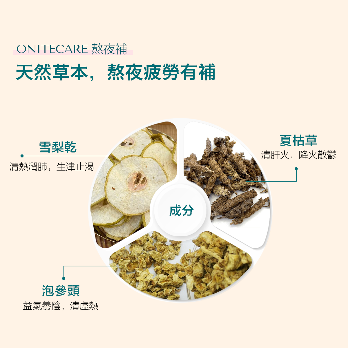 熬夜補 草本成分